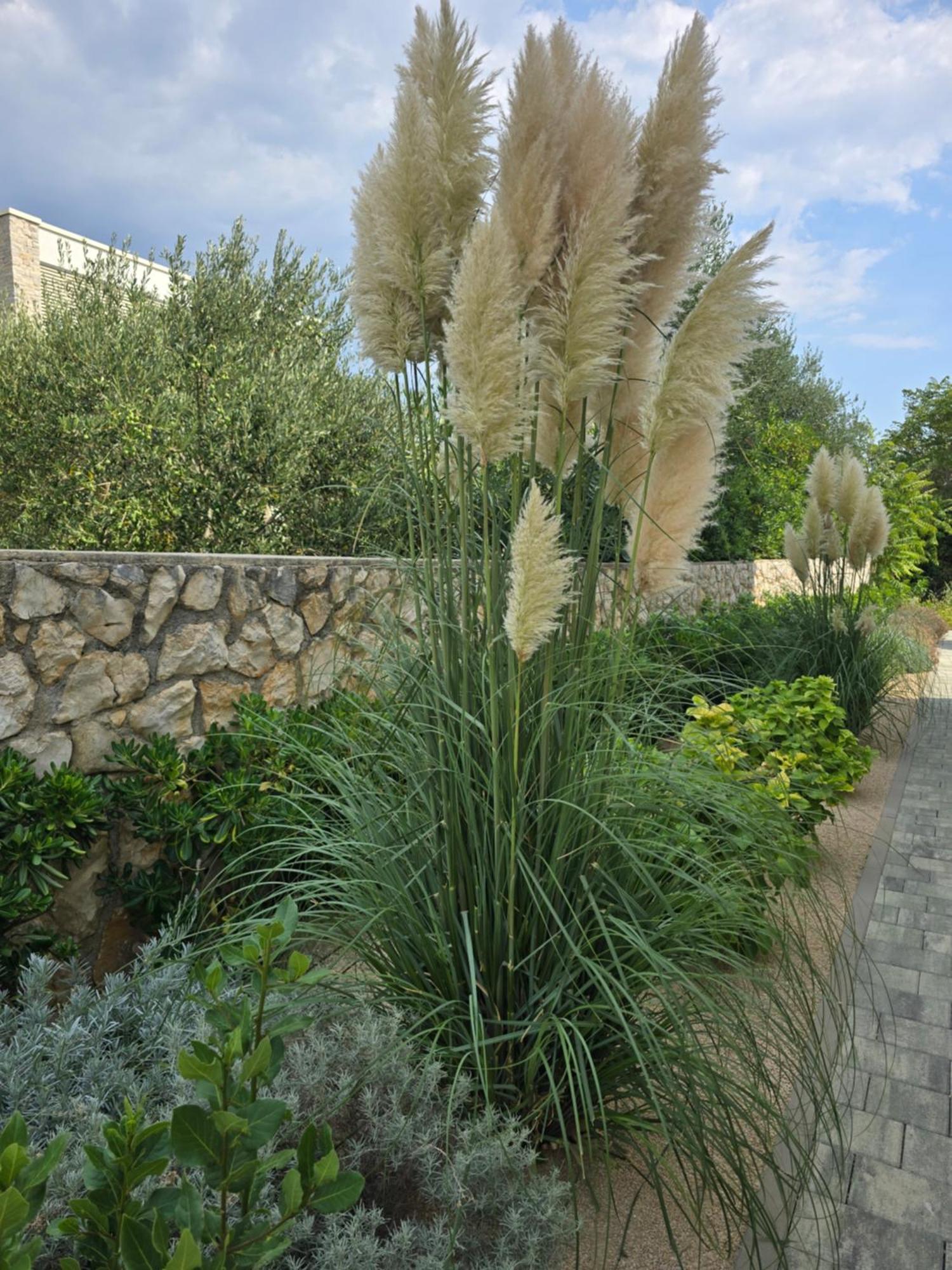 Rimac Apartments 노바야 외부 사진